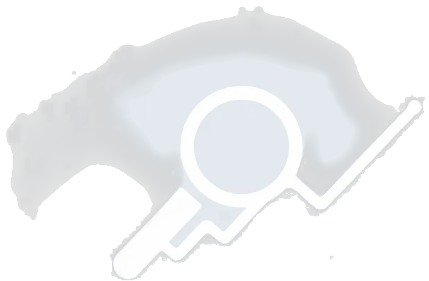 SEO Icon